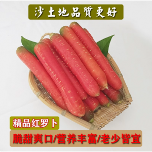 2024新鲜现挖水果红罗卜蔬菜胡萝卜孕妇儿童罗卜榨汁当季带泥发货
