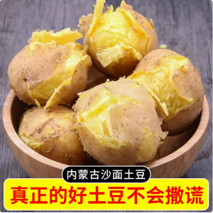 内蒙古乌兰察布沙面黄皮黄心大土豆新鲜现挖现发农家种植马铃薯